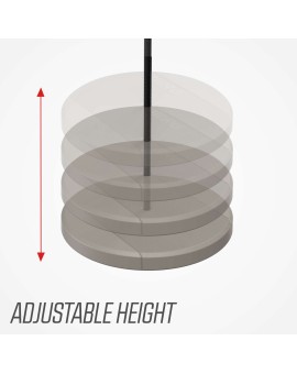 Disc Swing for BERG PlayBase