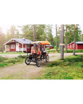 BERG Grand Tour quadricycle roof