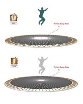 BERG Flatground Ultim Champion 200 trampoline