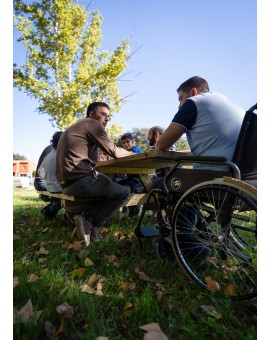 Adapted picnic table MASGAMES LYON